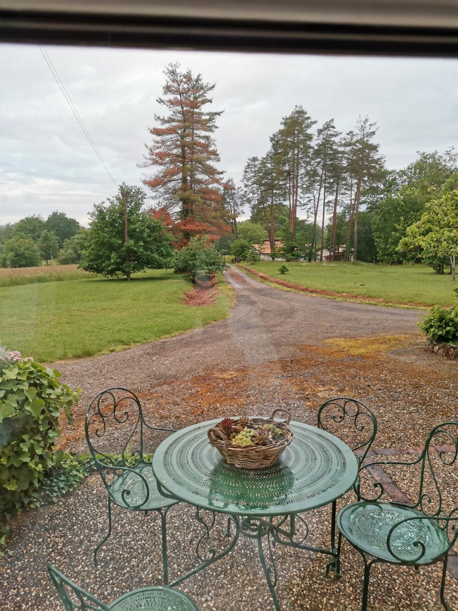 Castel La Bergerie Bed and Breakfast Laglorieuse Eksteriør billede